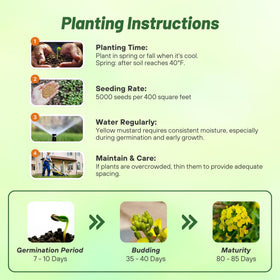 Outsidepride mustard microgreens harvest timeline for meal planning.