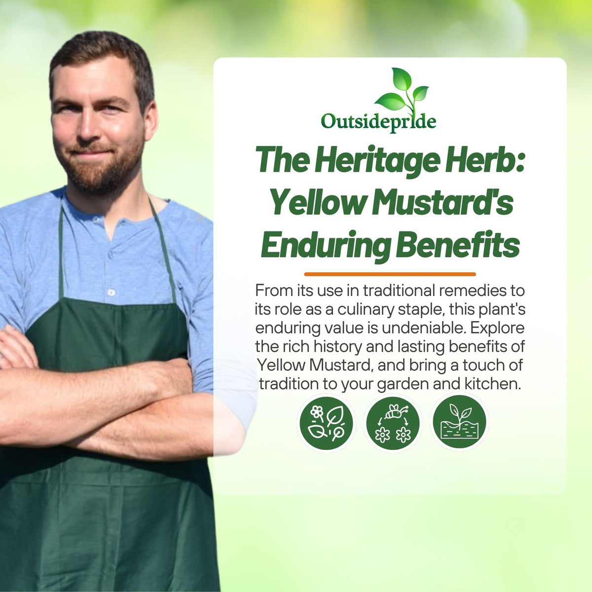 Outsidepride mustard plants thriving in sun and partial shade.