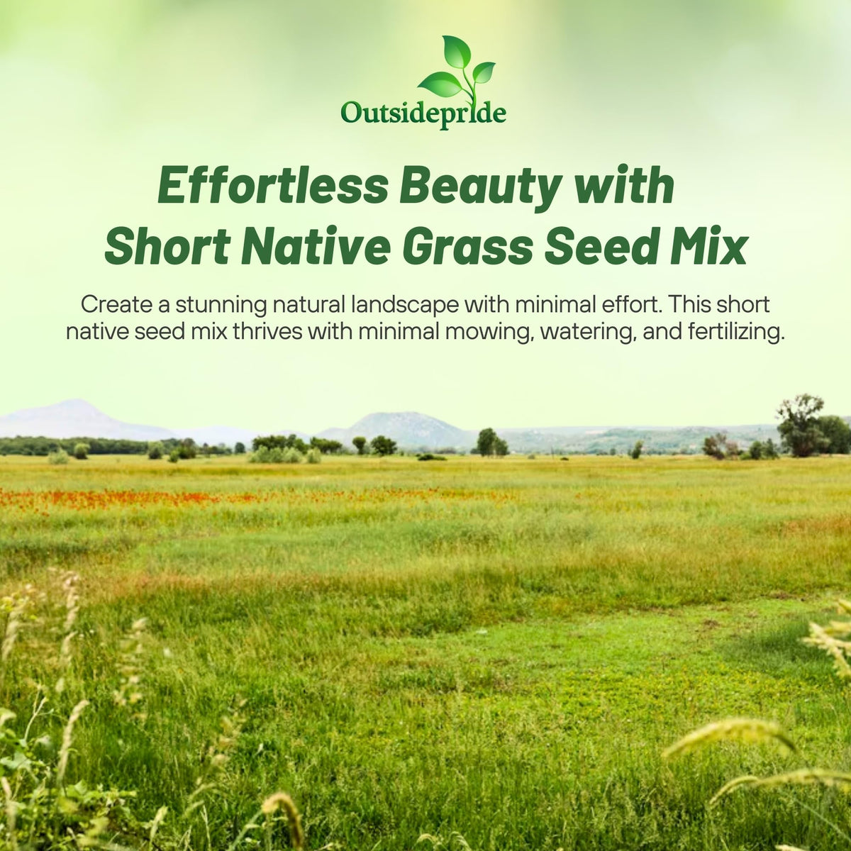 Outsidepride Five-pound bag of native grass seed mix for easy setup.