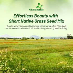 Outsidepride Five-pound bag of native grass seed mix for easy setup.