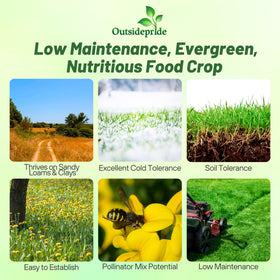 Outsidepride nitrocoated-seed boosts germination and early forage growth.