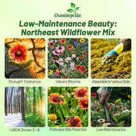 Outsidepride Northeast Wildflower Seed Mix planting-process helps beginner gardeners establish quickly.