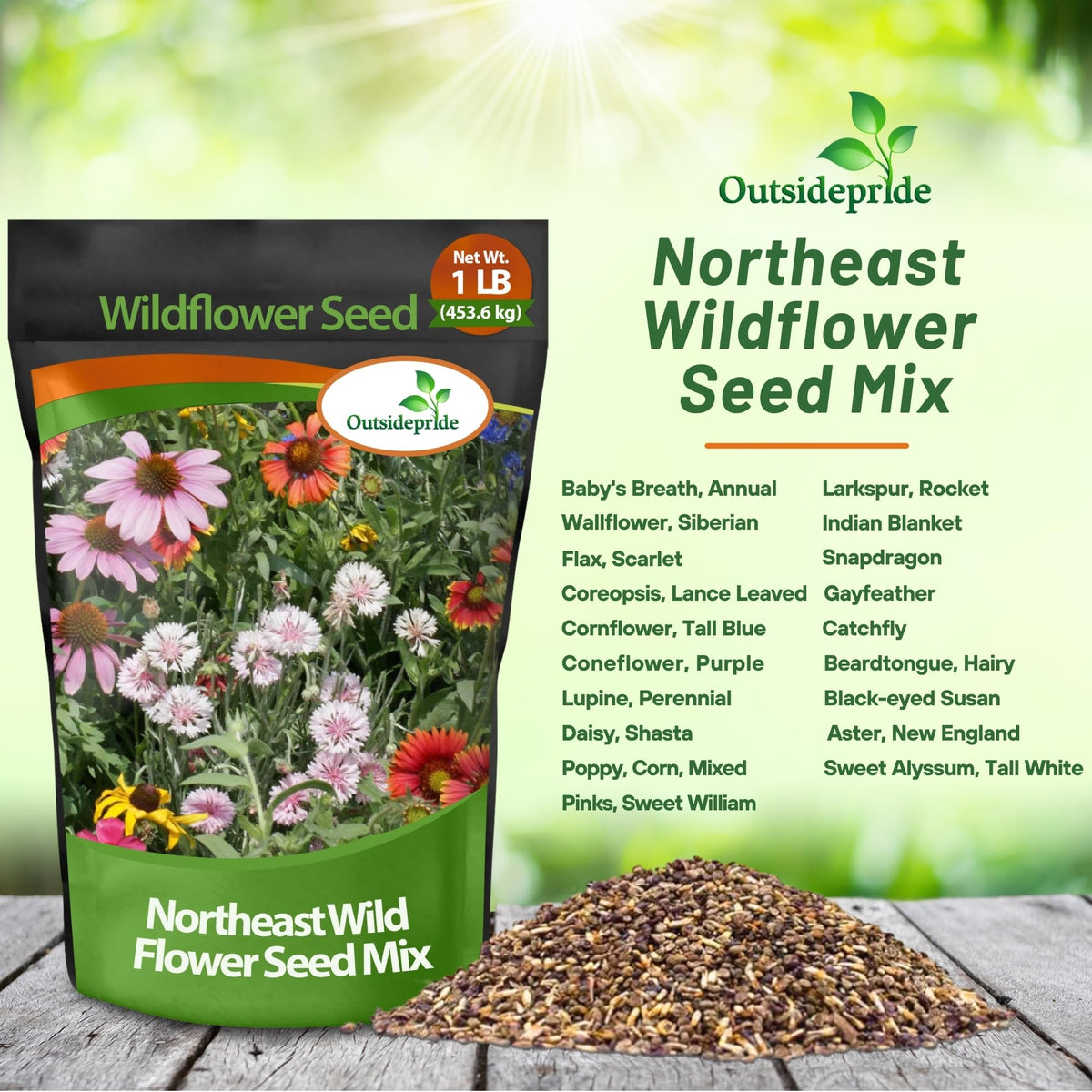 Outsidepride Northeast Wildflower Seed Mix pollinator-attracting blooms attract bees.