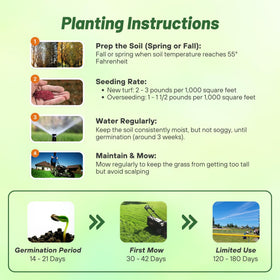 Outsidepride OptiGrowth-coated seeds promote faster establishment.