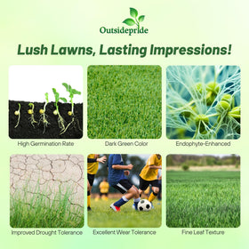 Outsidepride OptiGrowth-coated seeds showing faster germination potential.