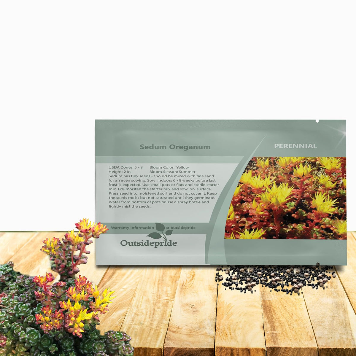 Outsidepride Oregnum Sedum seeds seed packet for easy ground-cover planting