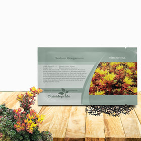 Outsidepride Oregnum Sedum seeds seed packet for easy ground-cover planting