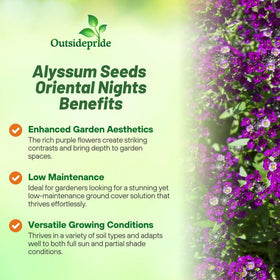 Outsidepride Oriental Nights Alyssum seedling emerging for early color
