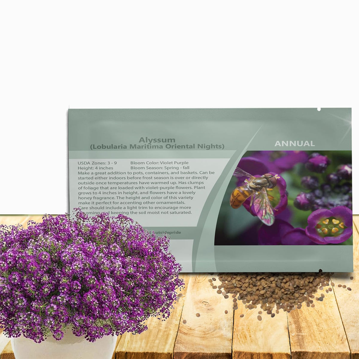 Outsidepride Oriental Nights Alyssum seed packet ready for sowing in beds