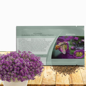Outsidepride Oriental Nights Alyssum seed packet ready for sowing in beds