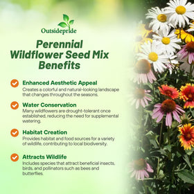 Colorful perennial border with Outsidepride wildflowers for year-round color.