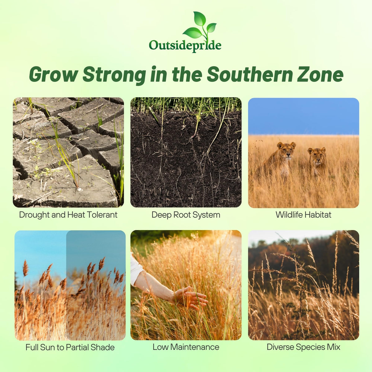 Outsidepride seed mix label close-up highlights drought-tolerant grasses for water-wise gardens.