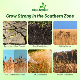 Outsidepride seed mix label close-up highlights drought-tolerant grasses for water-wise gardens.
