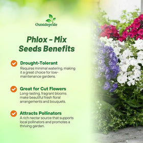 Outsidepride Mix Phlox is self-seeding for continued color year after year.