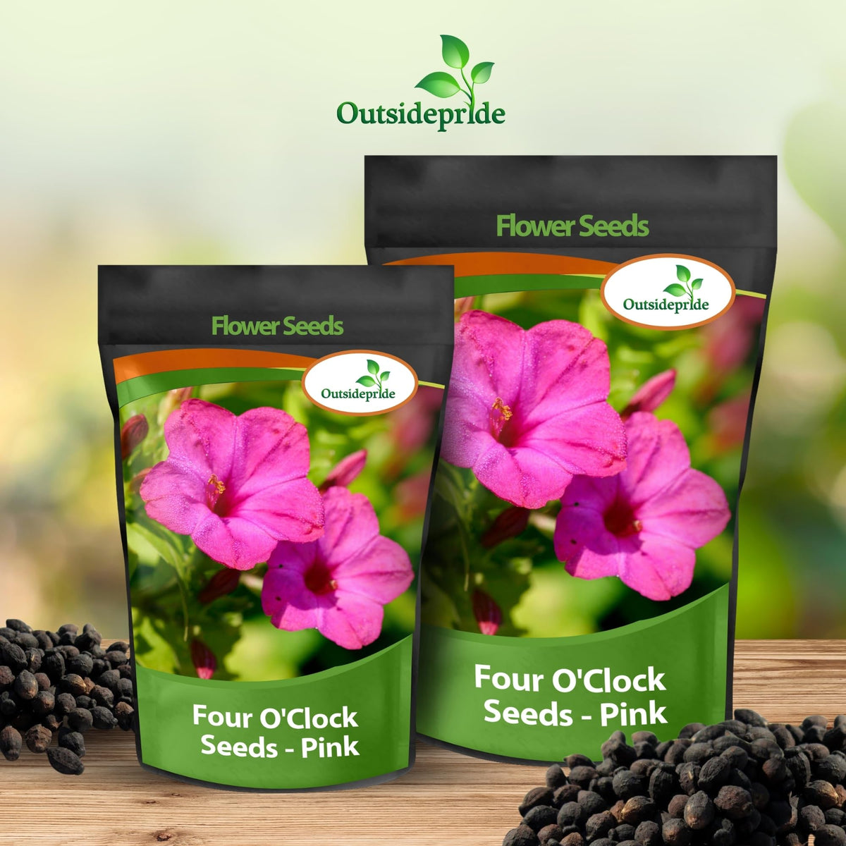 Outsidepride pink four o'clock enhances evening gardens with scent and color