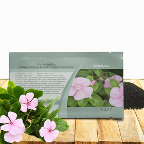 Outsidepride pink periwinkle seeds 2000-pack ready for quick bed color and borders.