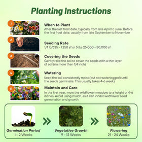 Pollinator-friendly wildflowers from Outsidepride attracting bees and butterflies in a landscape.