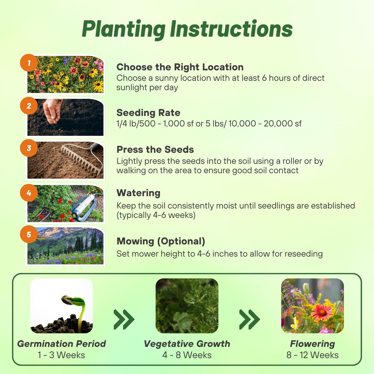 Outsidepride-pollinator-friendly-wildflowers attract bees and butterflies to the garden.