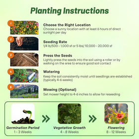 Outsidepride-pollinator-friendly-wildflowers attract bees and butterflies to the garden.