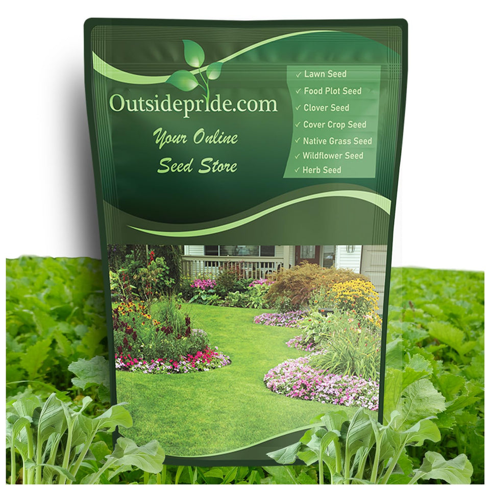 Outsidepride Purple Top Turnip Seeds bag ready for forage production.