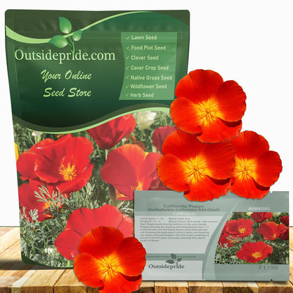 Outsidepride Red Chief California Poppy bloom close-up for vibrant garden borders