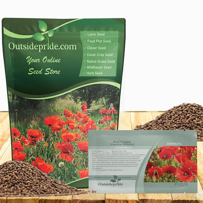Outsidepride Red Poppy Seeds planting close-up for a vibrant spring display.