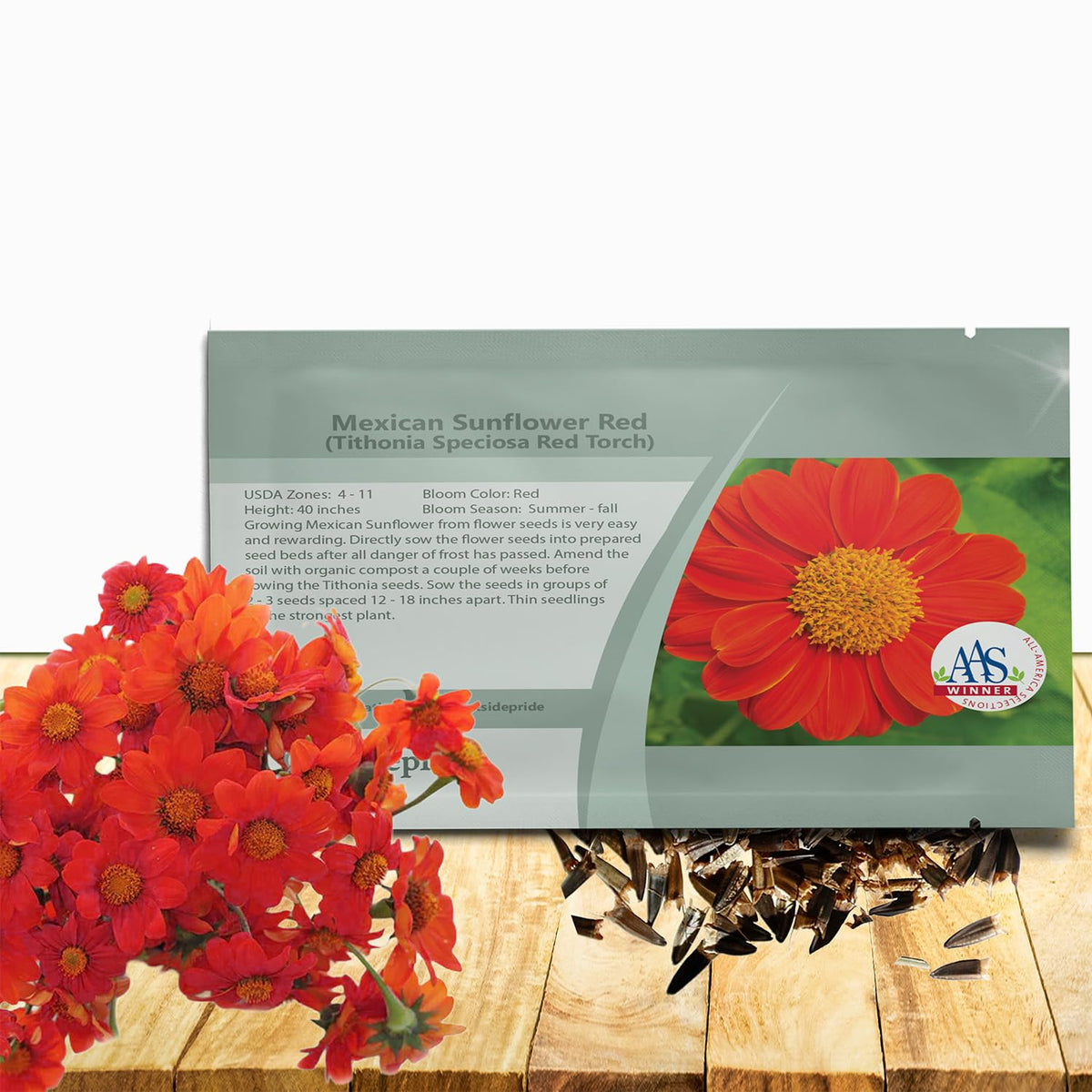Outsidepride Red Torch Mexican Sunflower seeds blooming to attract butterflies and hummingbirds