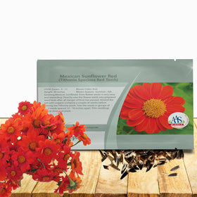 Outsidepride Red Torch Mexican Sunflower seeds blooming to attract butterflies and hummingbirds
