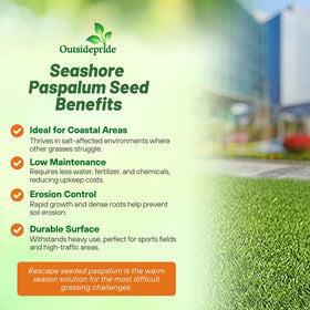 Outsidepride Rescape Seashore Paspalum germination stage sprouts
