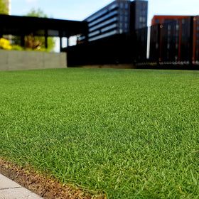 Outsidepride Rescape Seashore Paspalum seed for high-traffic turf