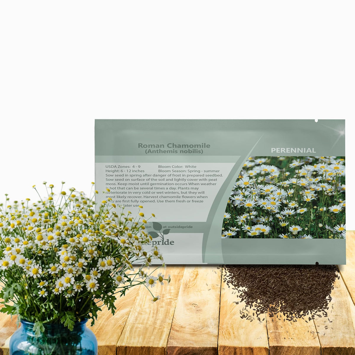 Outsidepride Roman Chamomile seeds form green foliage ideal for durable ground cover