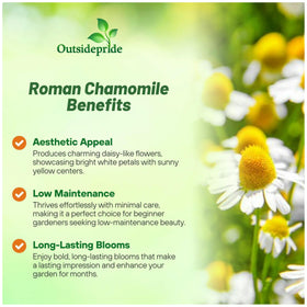 Outsidepride Roman Chamomile seeds offer drought-tolerant, low-maintenance landscaping options