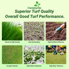 Outsidepride Royal TXD coated-seed-blend for even germination