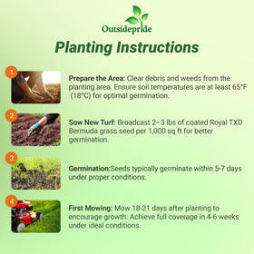 Outsidepride Royal TXD Bermuda seed blend promoting dense turf coverage.