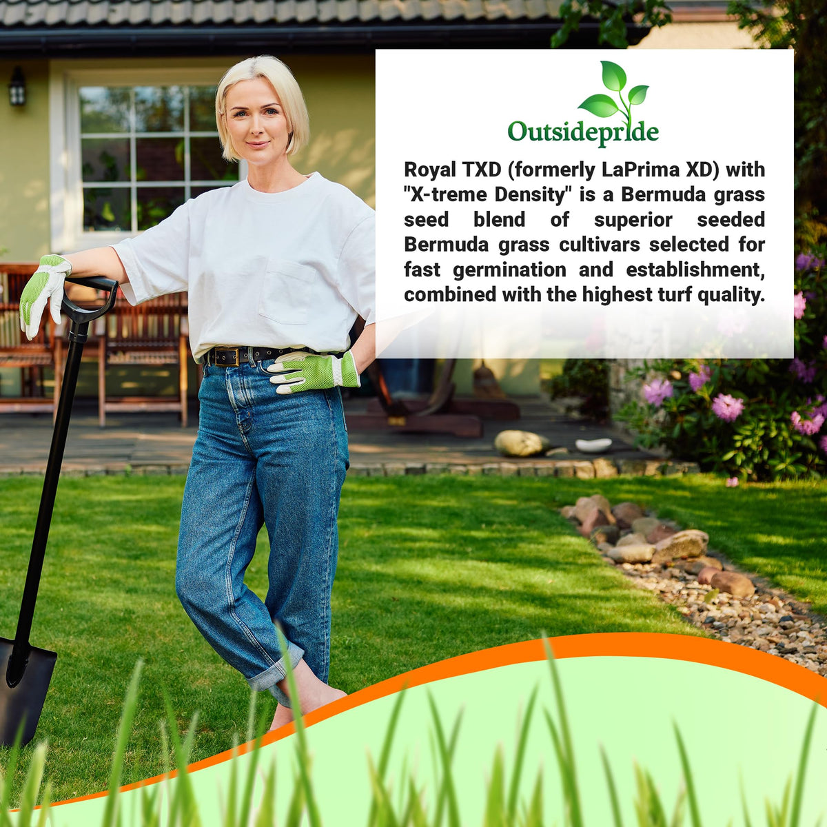 Outsidepride Royal TXD heat and drought tolerance supports summer lawns and low-water landscapes.