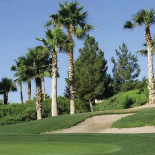 Outsidepride Royal TXD overseeding repair enhances existing Bermuda stands