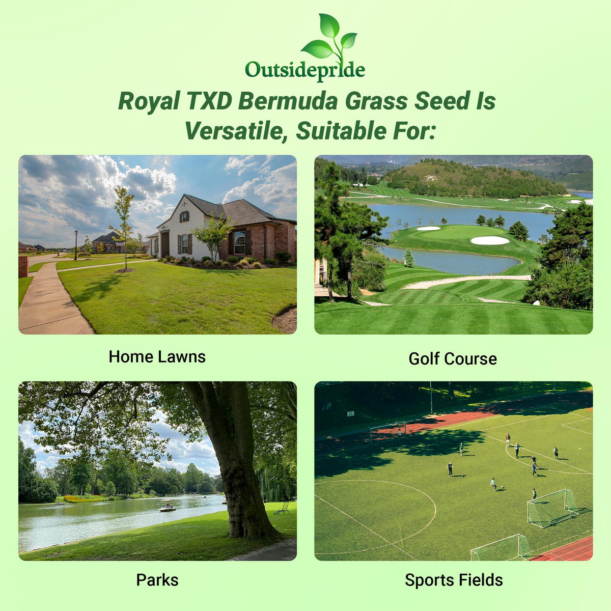 Outsidepride Royal TXD sports-field durable turf for high use areas
