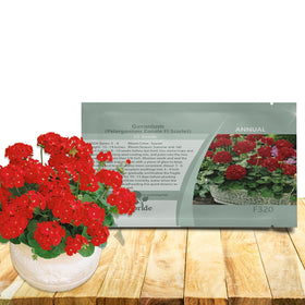 Outsidepride Scarlet Geranium seed pack for bright summer color in containers.