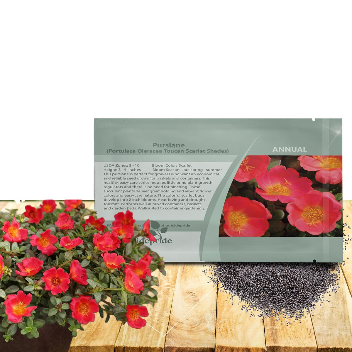 Outsidepride scarlet purslane seeds packet with edible greens and ornamental blooms