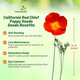 Outsidepride seed packet shown outdoors for easy spring color in beds