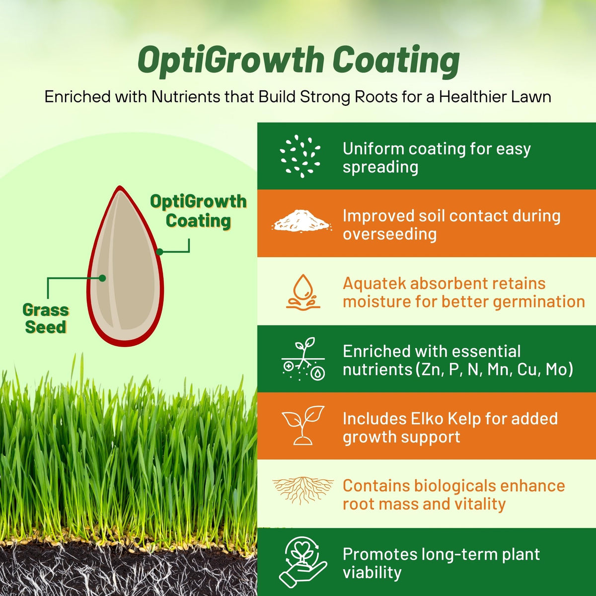 Seed adapts to shade and sun for versatile landscape coverage.