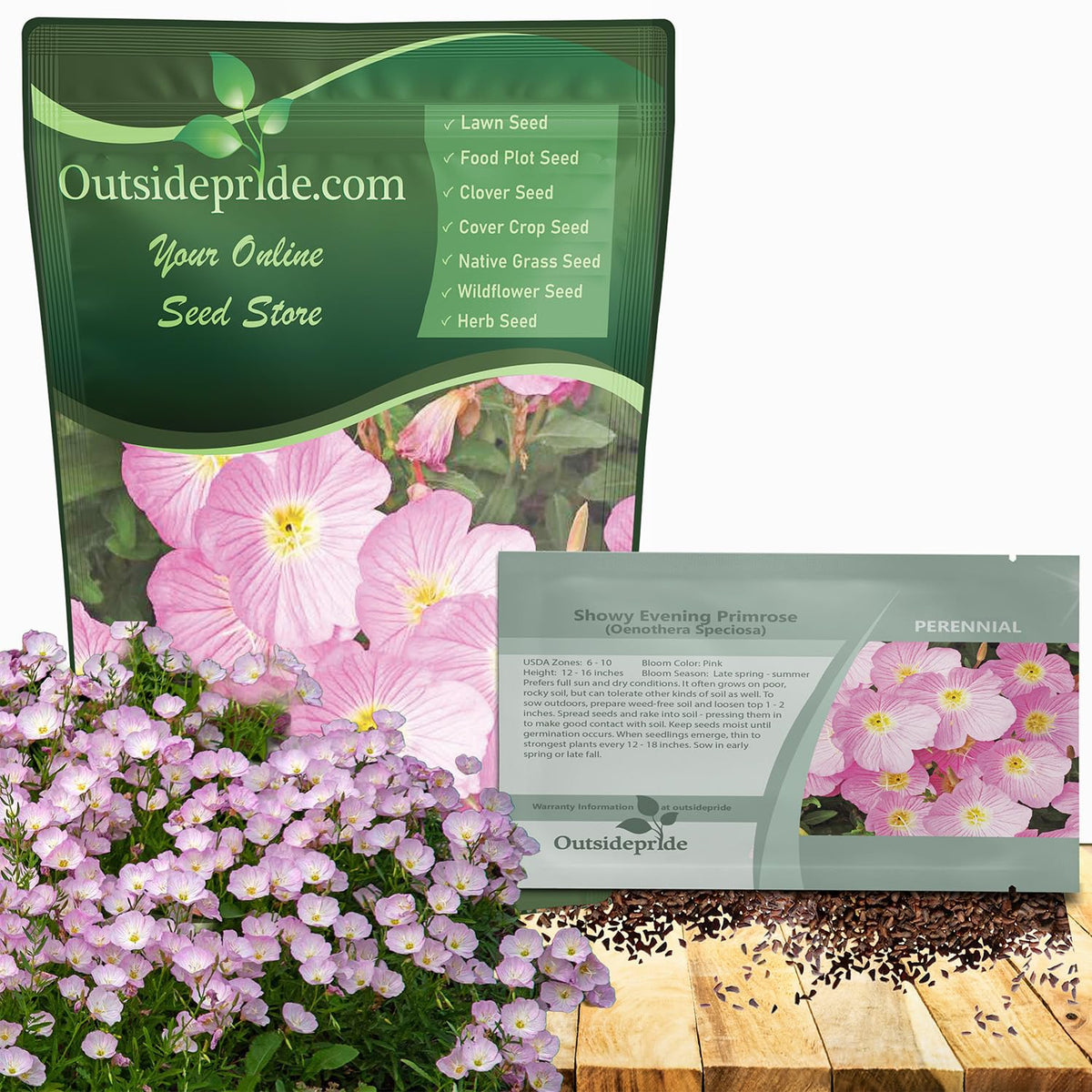 Outsidepride Showy Evening Primrose soft pink bloom for borders and containers, enhances summer color.