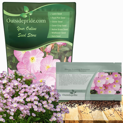 Outsidepride Showy Evening Primrose soft pink bloom for borders and containers, enhances summer color.