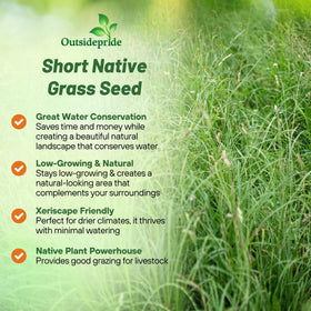 Outsidepride Sideoats Grama seed forming resilient turf in sun.