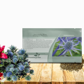 Outsidepride Silver Blue Sea Holly seeds front packet, ready for spring planting and vibrant blooms.