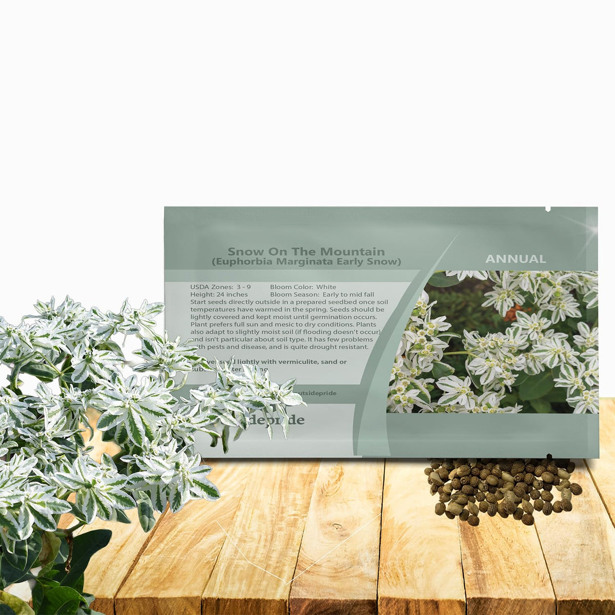 Outsidepride Snow on the Mountain seeds pack ready for outdoor planting