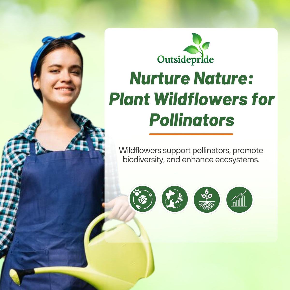 Outsidepride Southeast wildflower seed mix erosion-control display stabilizes soil.