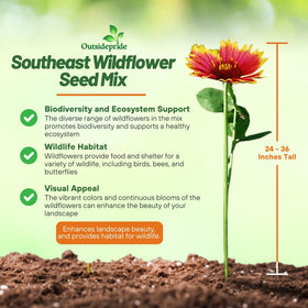 Outsidepride Southeast wildflower seed mix sunny field illustrates dense planting and color.