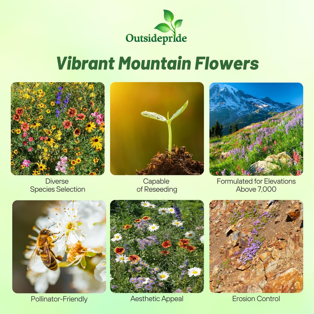 Outsidepride sowing-wildflower-seeds image demonstrates spring planting for a colorful mountain garden.