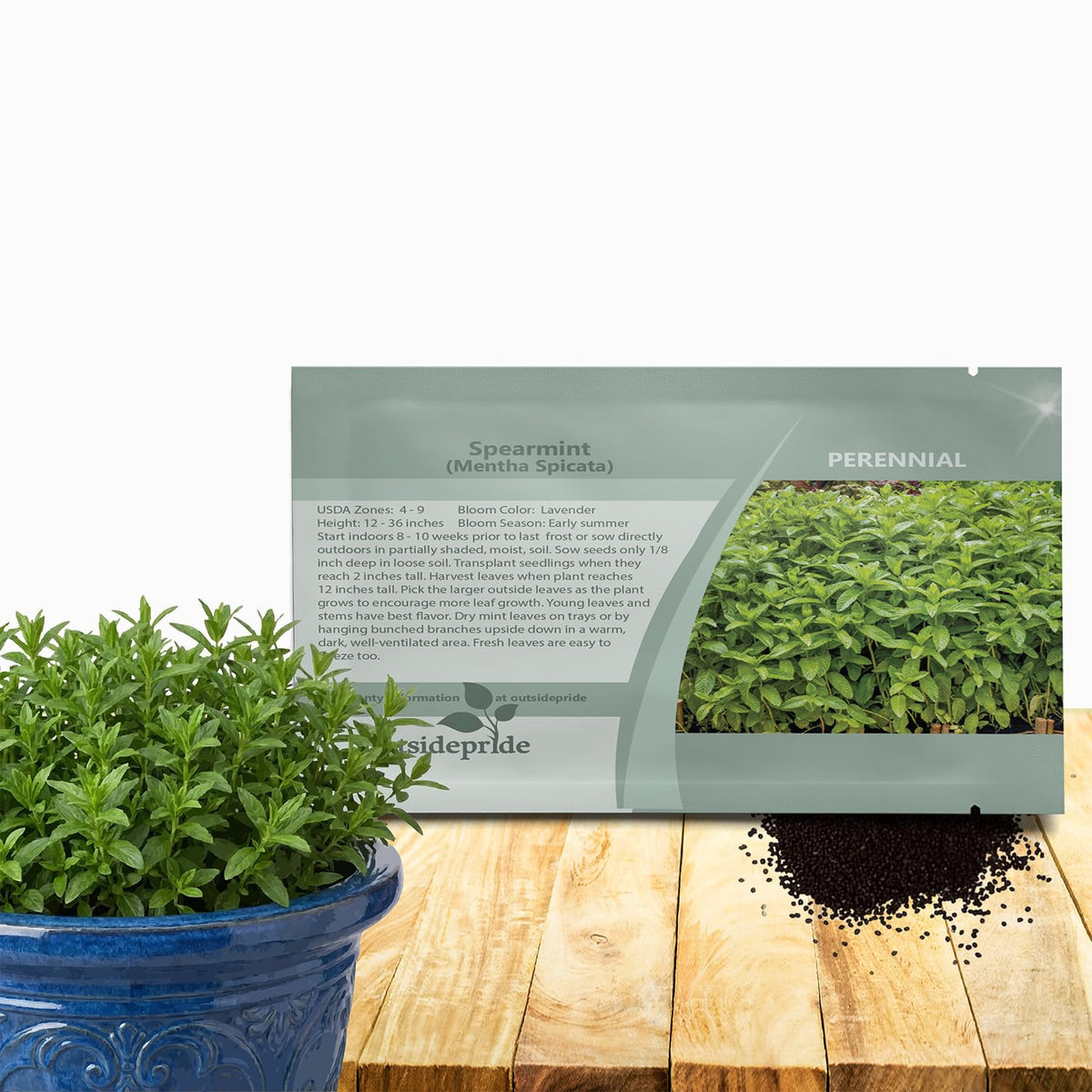 Outsidepride spearmint seeds packaging for easy gardening and fresh flavor.